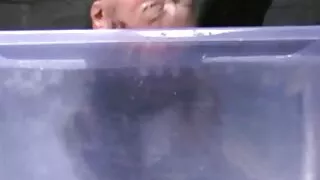 კაცი bathed ბიჭები თეთრი სითხე და fucked თითოეული ტრაკი